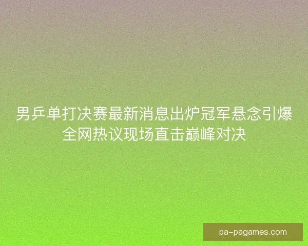 男乒单打决赛最新消息出炉冠军悬念引爆全网热议现场直击巅峰对决